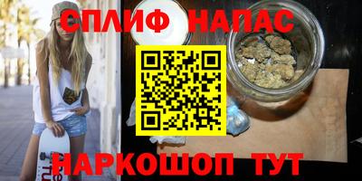 гашик Будённовск