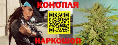 гашик Будённовск