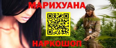 гашик Будённовск