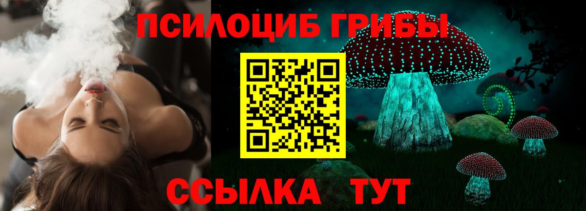 как найти наркотики  Вход с VPN  Щёлково  Псилоцибиновые грибы Psilocybe  Галлюциногенные грибы GOLDEN TEACHER 